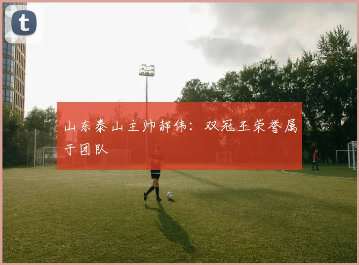 山东泰山主帅郝伟：双冠王荣誉属于团队