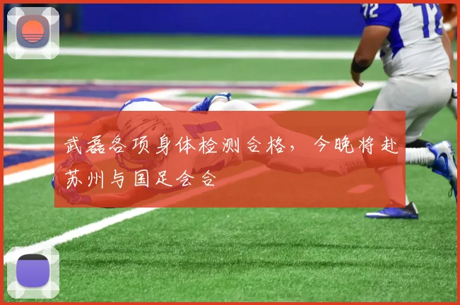 武磊各项身体检测合格，今晚将赴苏州与国足会合