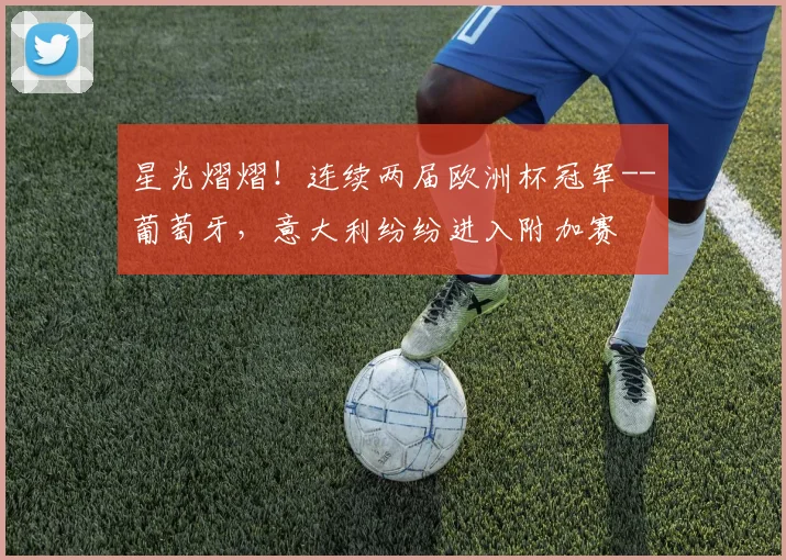 星光熠熠！连续两届欧洲杯冠军--葡萄牙，意大利纷纷进入附加赛