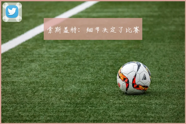 索斯盖特：细节决定了比赛