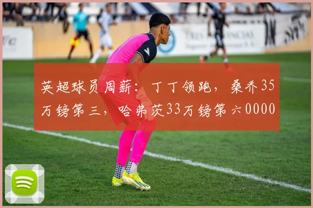英超球员周薪：丁丁领跑，桑乔35万镑第三，哈弗茨33万镑第六0000644