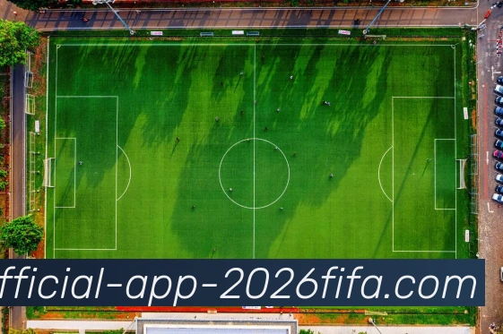 App 展示图